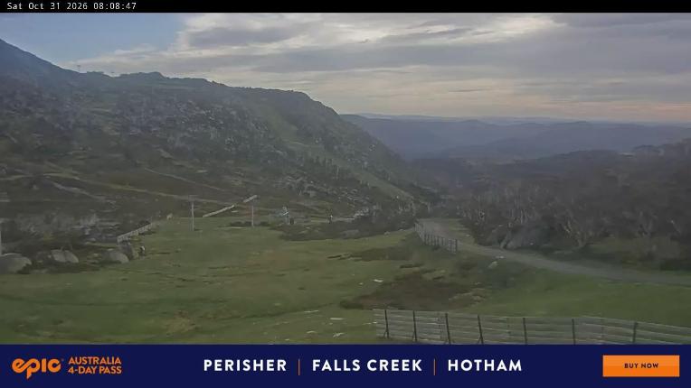 Webcam Perisher: Blue cow