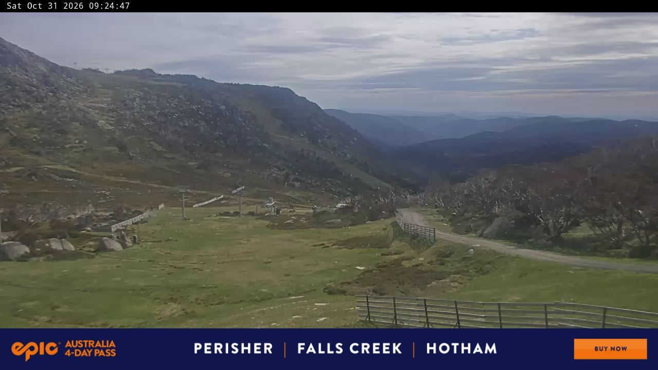 Webcam Perisher: Blue cow