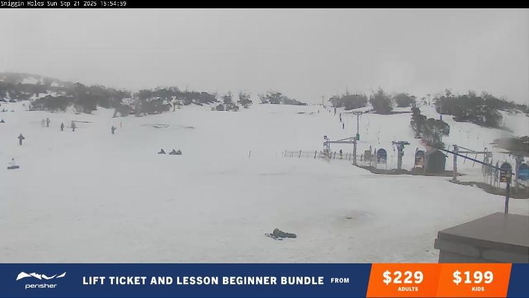 Webcam Perisher: Smiggin holes