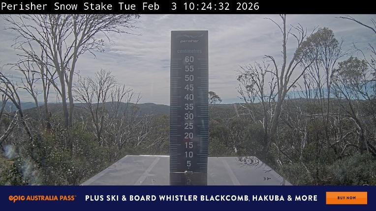 Webcam Perisher: Snow Stake