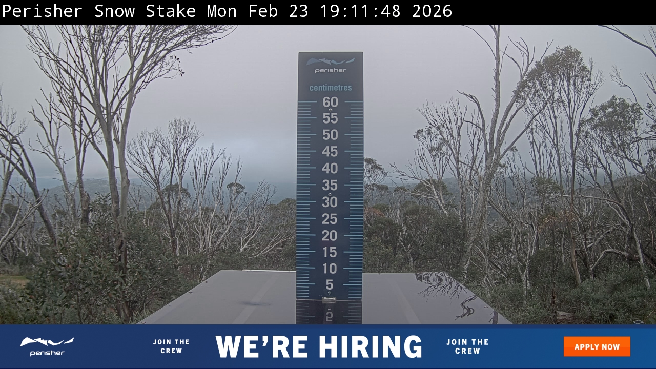 Webcam Perisher: Snow Stake