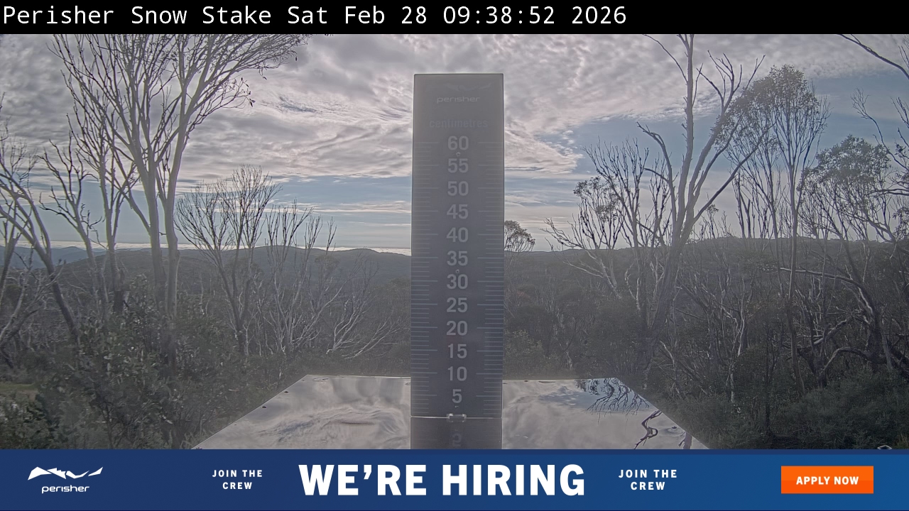 Webcam Perisher: Snow Stake