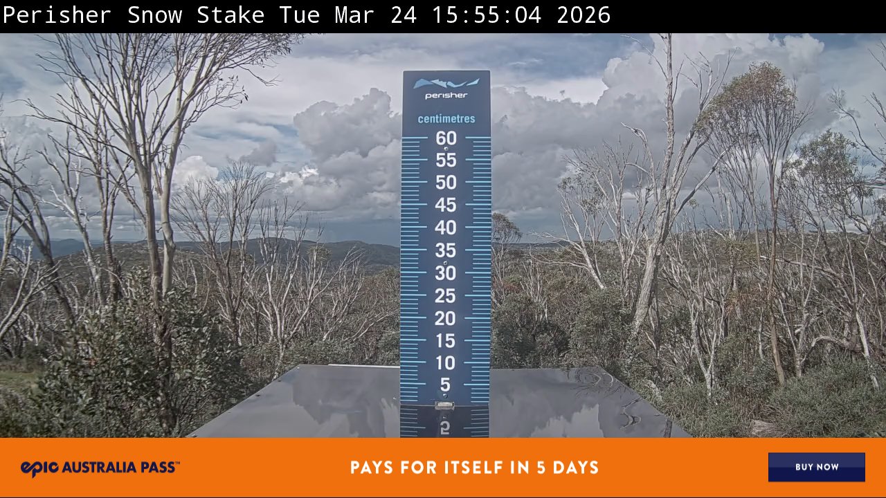Webcam Perisher: Snow Stake