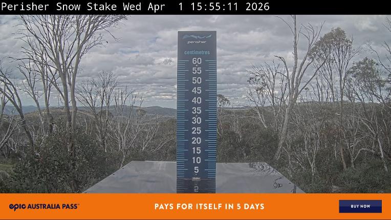 Webcam Perisher: Snow Stake