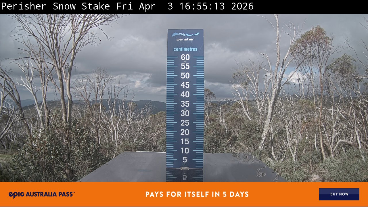 Webcam Perisher: Snow Stake