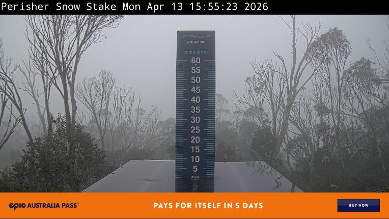 Webcam Perisher: Snow Stake