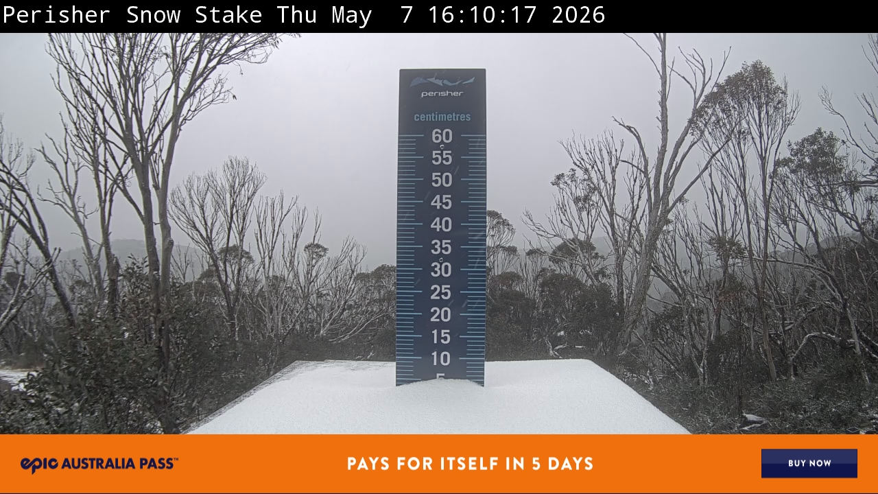 Webcam Perisher: Snow Stake