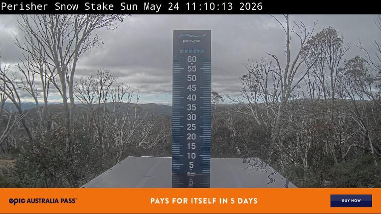 Webcam Perisher: Snow Stake