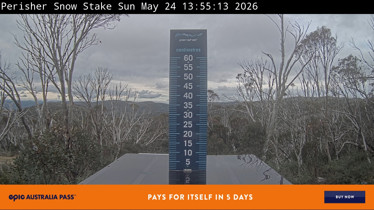 Webcam Perisher: Snow Stake