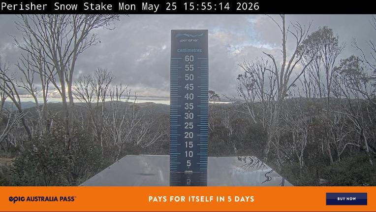 Webcam Perisher: Snow Stake