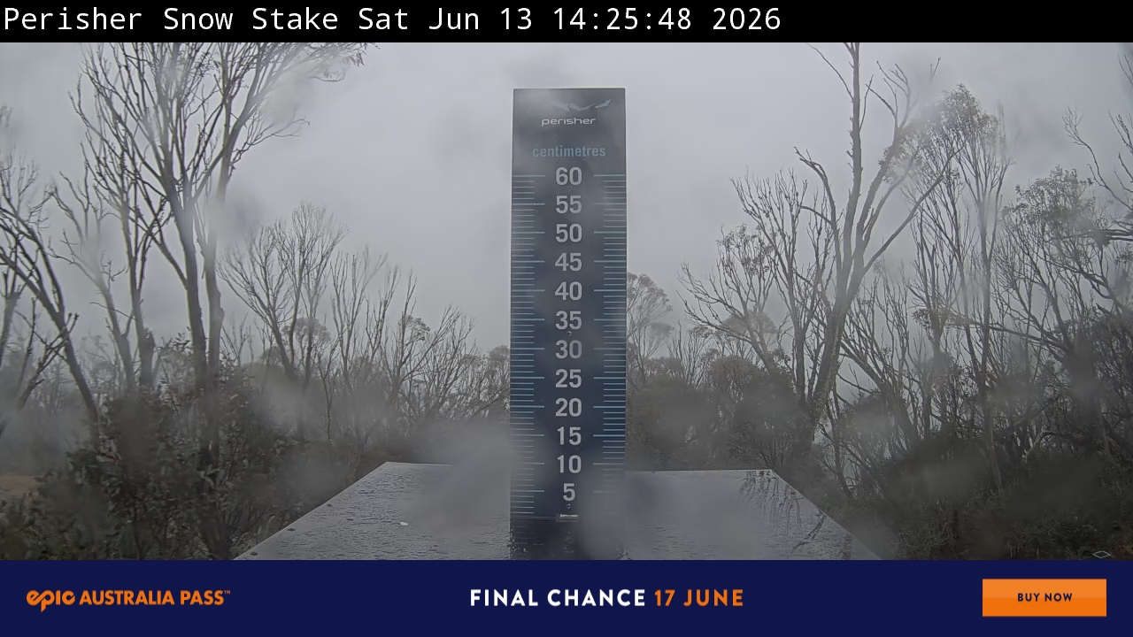 Webcam Perisher: Snow Stake