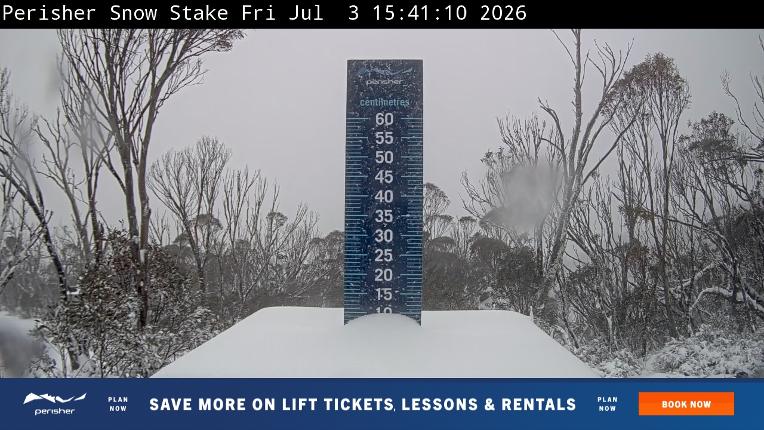 Webcam Perisher: Snow Stake