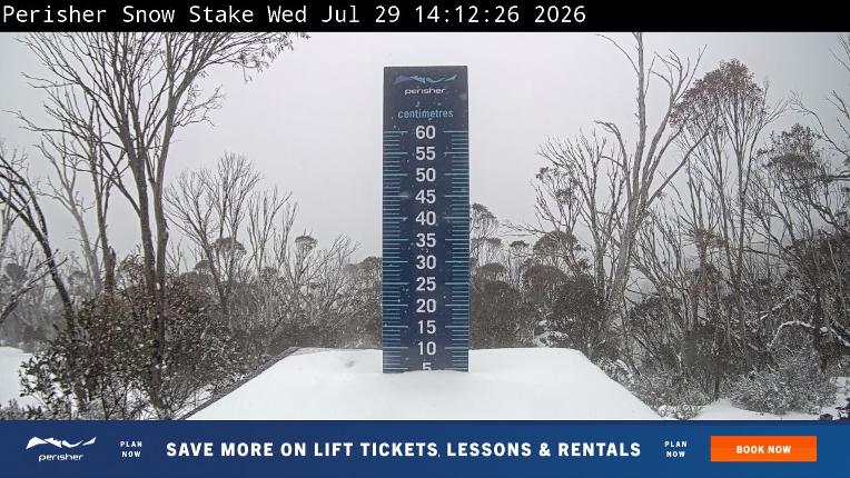 Webcam Perisher: Snow Stake