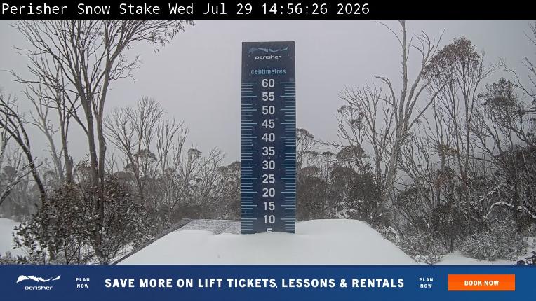 Webcam Perisher: Snow Stake