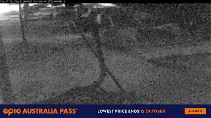 Bild des Benutzerberichts in Perisher