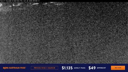 User report image in Perisher