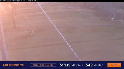 Perisher: Village Eight (perisher.com.au)