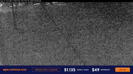 Image du rapport d'utilisateur dans Perisher