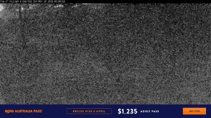 Perisher: Village Eight (perisher.com.au)