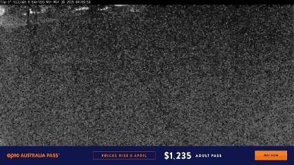 Perisher: Village Eight (perisher.com.au)