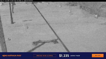 Imagem do relatório do usuário em Perisher