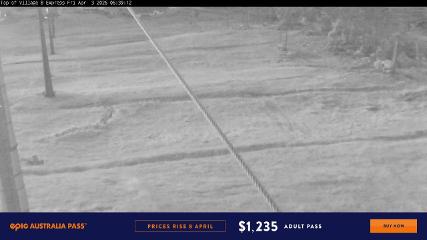 Perisher: Village Eight (perisher.com.au)