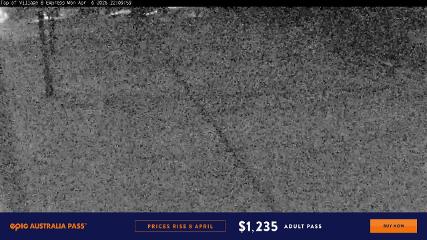 Perisher: Village Eight (perisher.com.au)