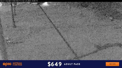 Perisher: Village Eight (perisher.com.au)