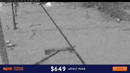 User report image in Perisher