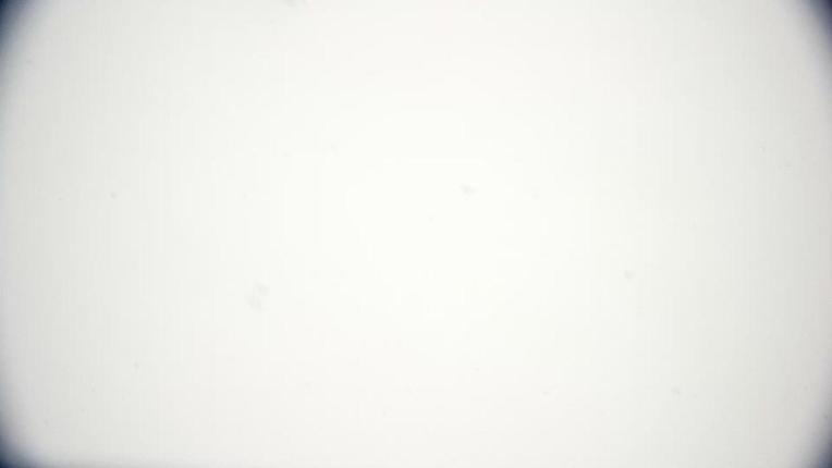 Webcam Piau Engaly: Pic de Piau - 2696m