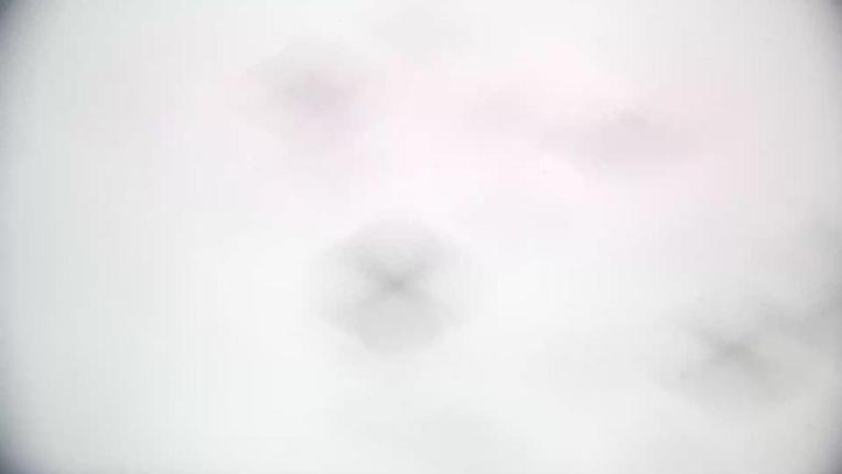 Webcam Piau Engaly: TSD Engaly