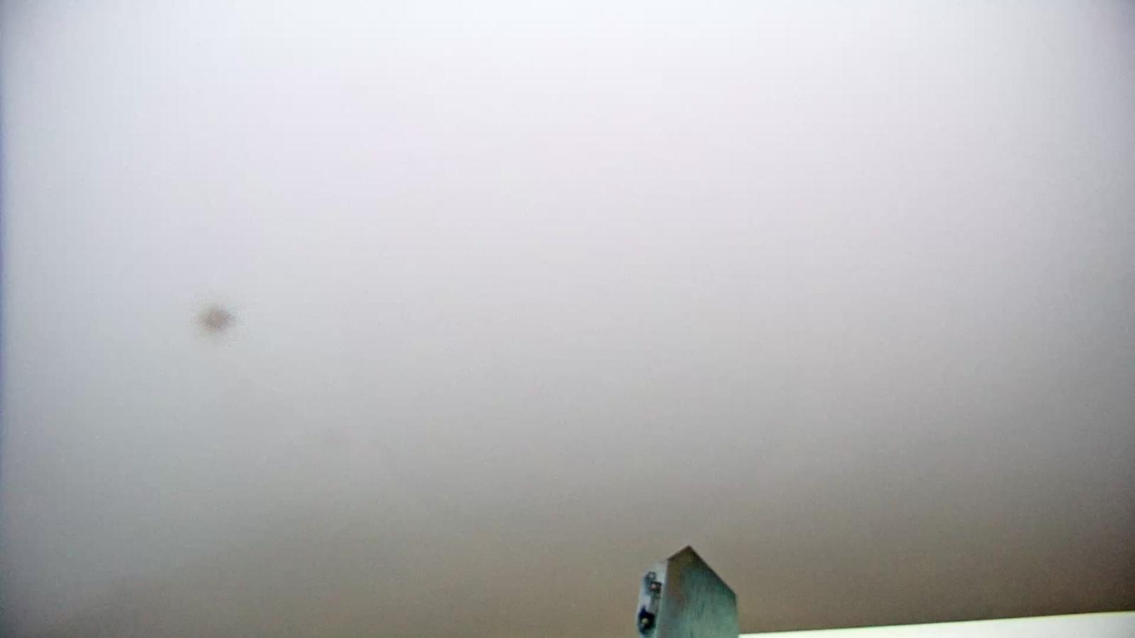 Webcam Piau Engaly: Vallée de Badet