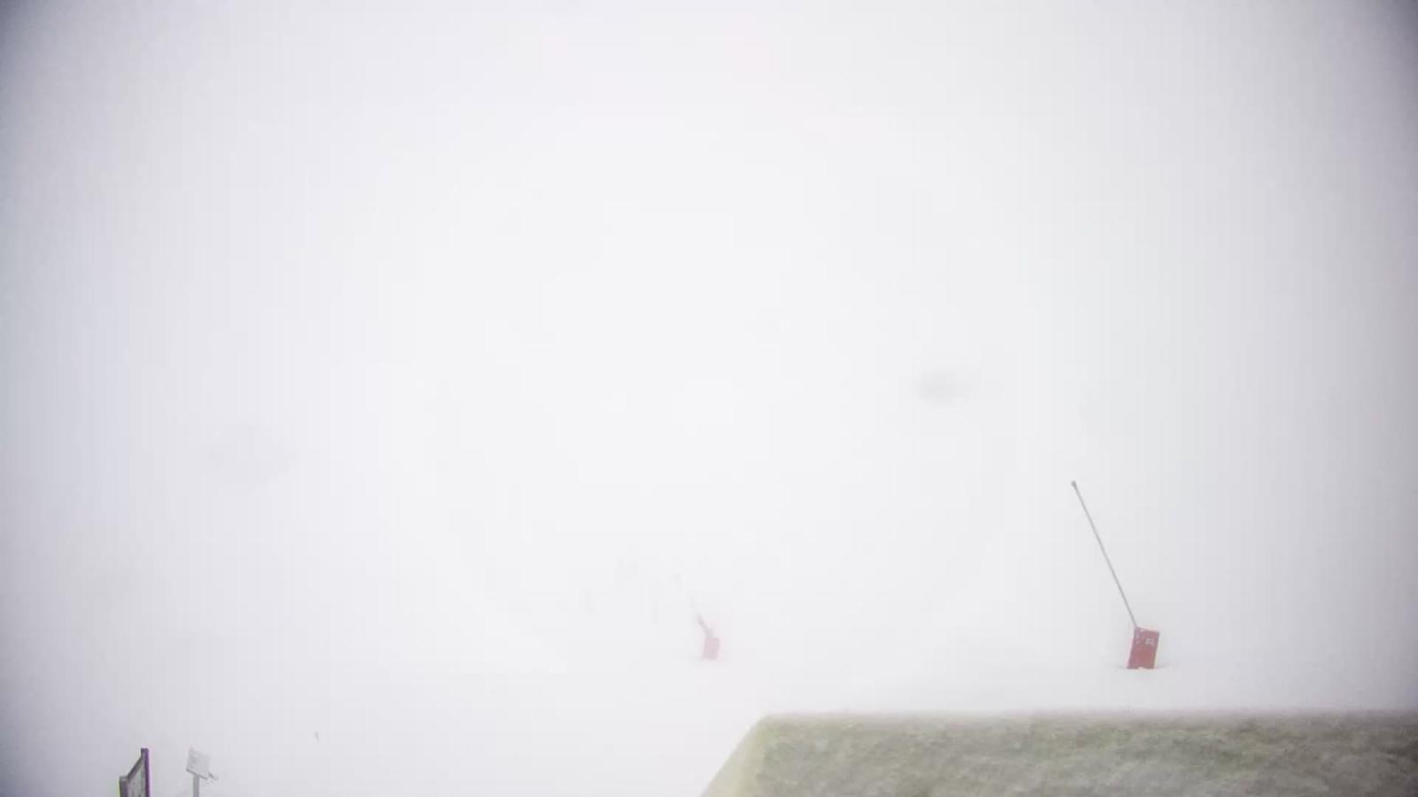 Webcam Piau Engaly: Vallée de Badet