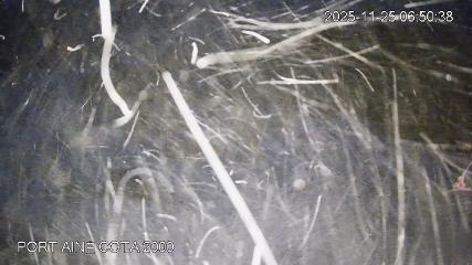 Port Ainé: Cinta ( portaine.cat )