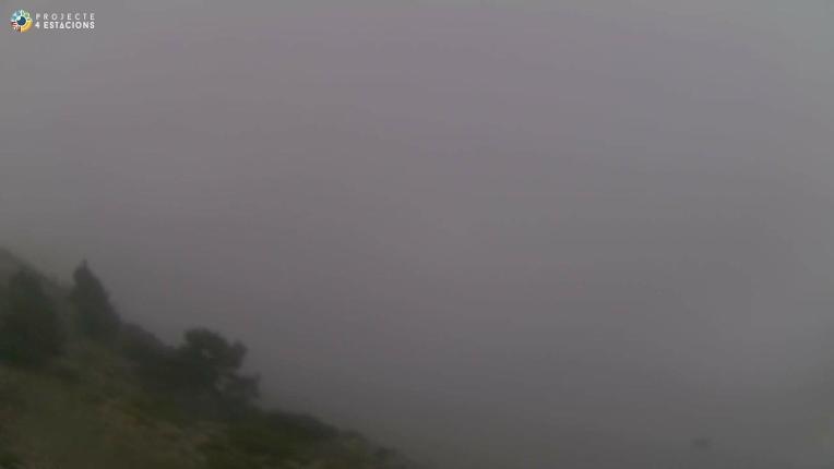 Webcam Port del Comte: Top 1