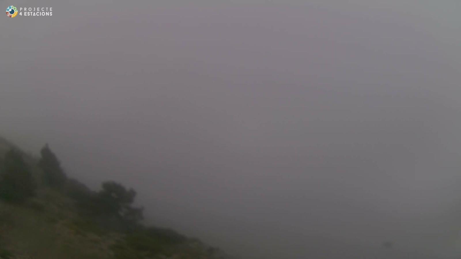 Webcam Port del Comte: Top 1