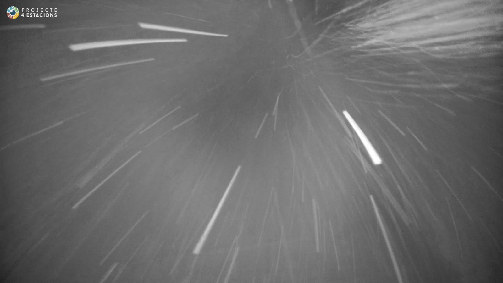 Webcam Port del Comte: Top 1