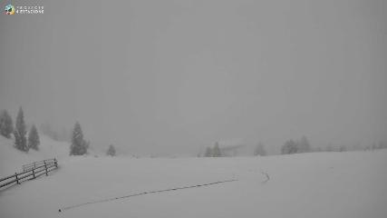 Port del Comte: Top 1 (portdelcomte.net)