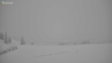 Port del Comte: Top 1 (portdelcomte.net)