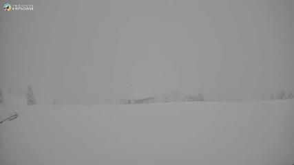 Port del Comte: Top 1 (portdelcomte.net)