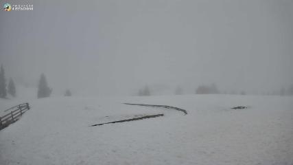 Port del Comte webcam