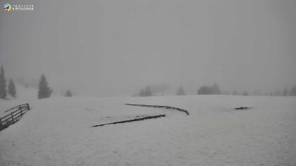 Port del Comte: Top 1 (portdelcomte.net)