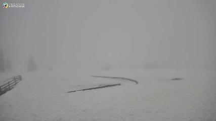 Port del Comte webcam