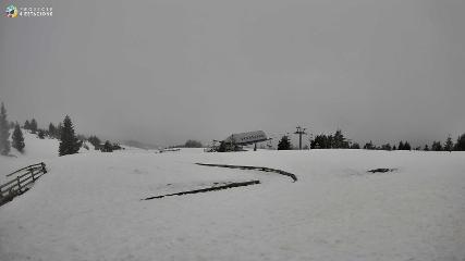 Port del Comte: Top 1 (portdelcomte.net)