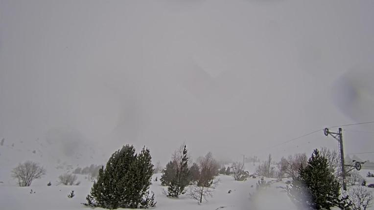 Webcam Porté Puymorens: Arrivee telesiege Estagnol