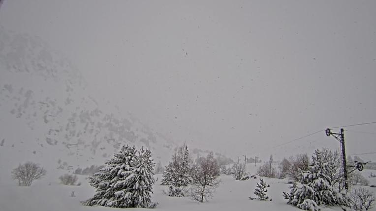 Webcam Porté Puymorens: Arrivee telesiege Estagnol