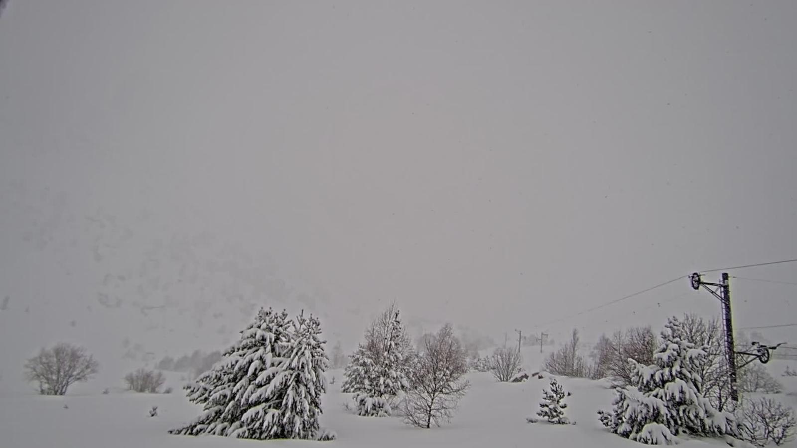 Webcam Porté Puymorens: Arrivee telesiege Estagnol