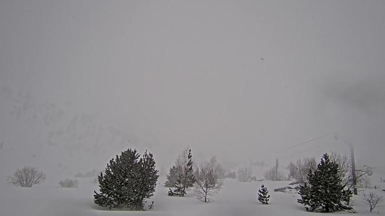 Webcam Porté Puymorens: Arrivee telesiege Estagnol