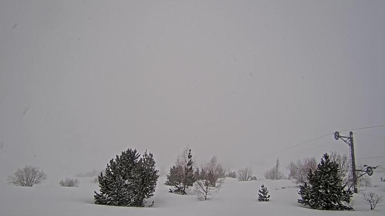 Webcam Porté Puymorens: Arrivee telesiege Estagnol