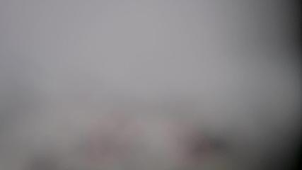 Porté Puymorens: La vignole (porte-puymorens.eu)